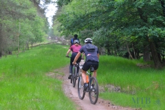 Escape-Ride-MTB-Heelsum_41