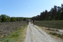 Escape-Ride-2023-110